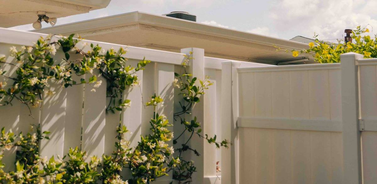 White vinyl privacy fence with climbing plants